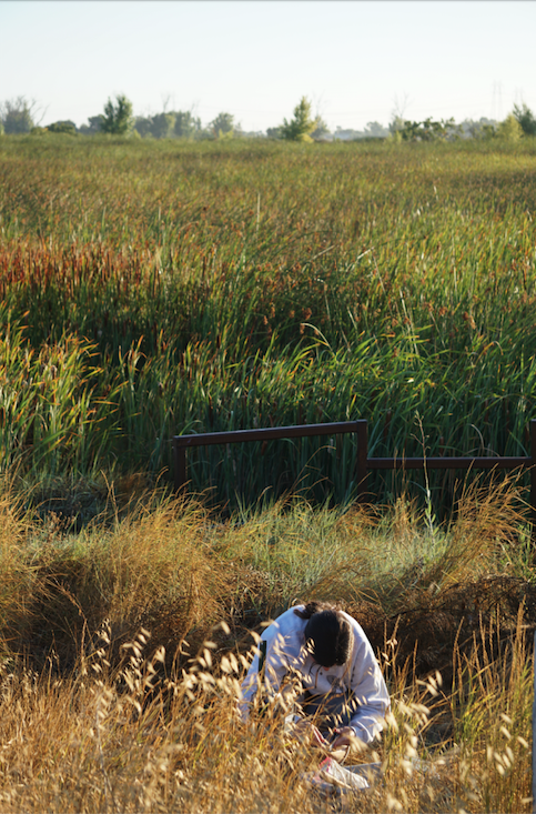 Addie changing camera trap equipment in Dutch Slough
