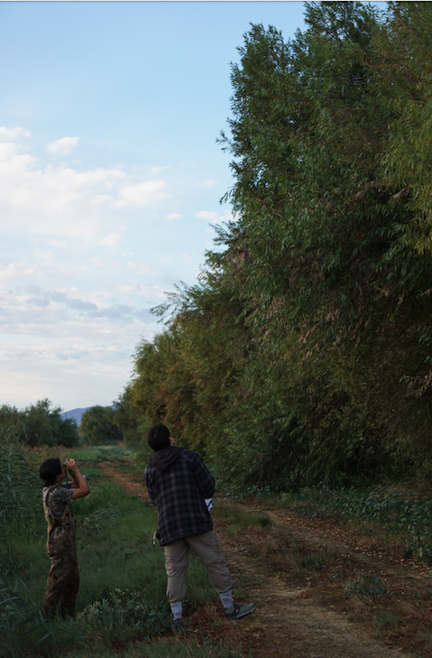 Ethan and Aidan measuring tree heights in Mayberry Slough