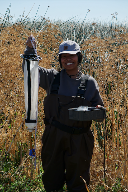 Eden trawling for algae in Mayberry Slough